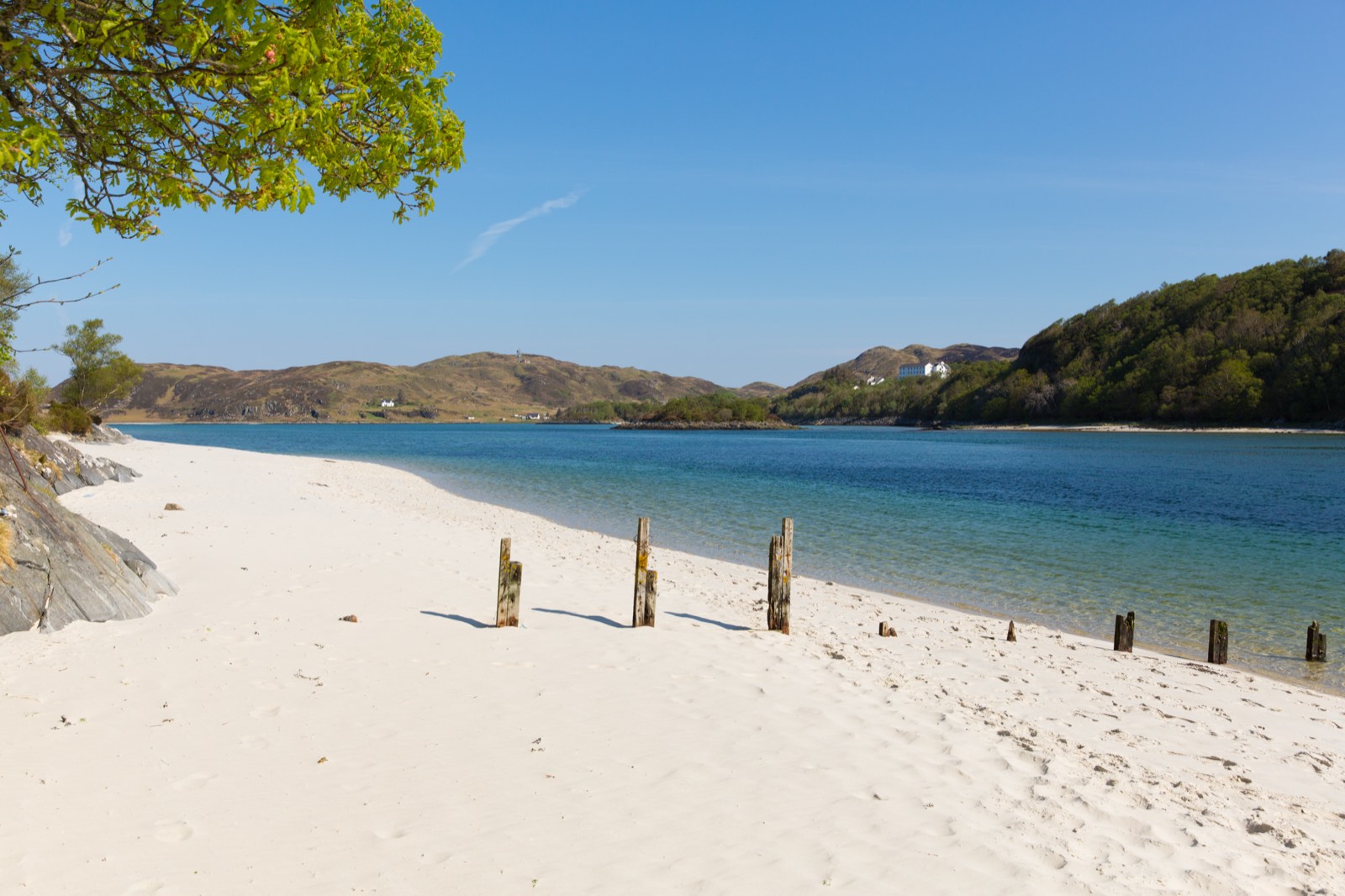 White sand, clear blue water and wooded shores at the Silver Sands of Morar.