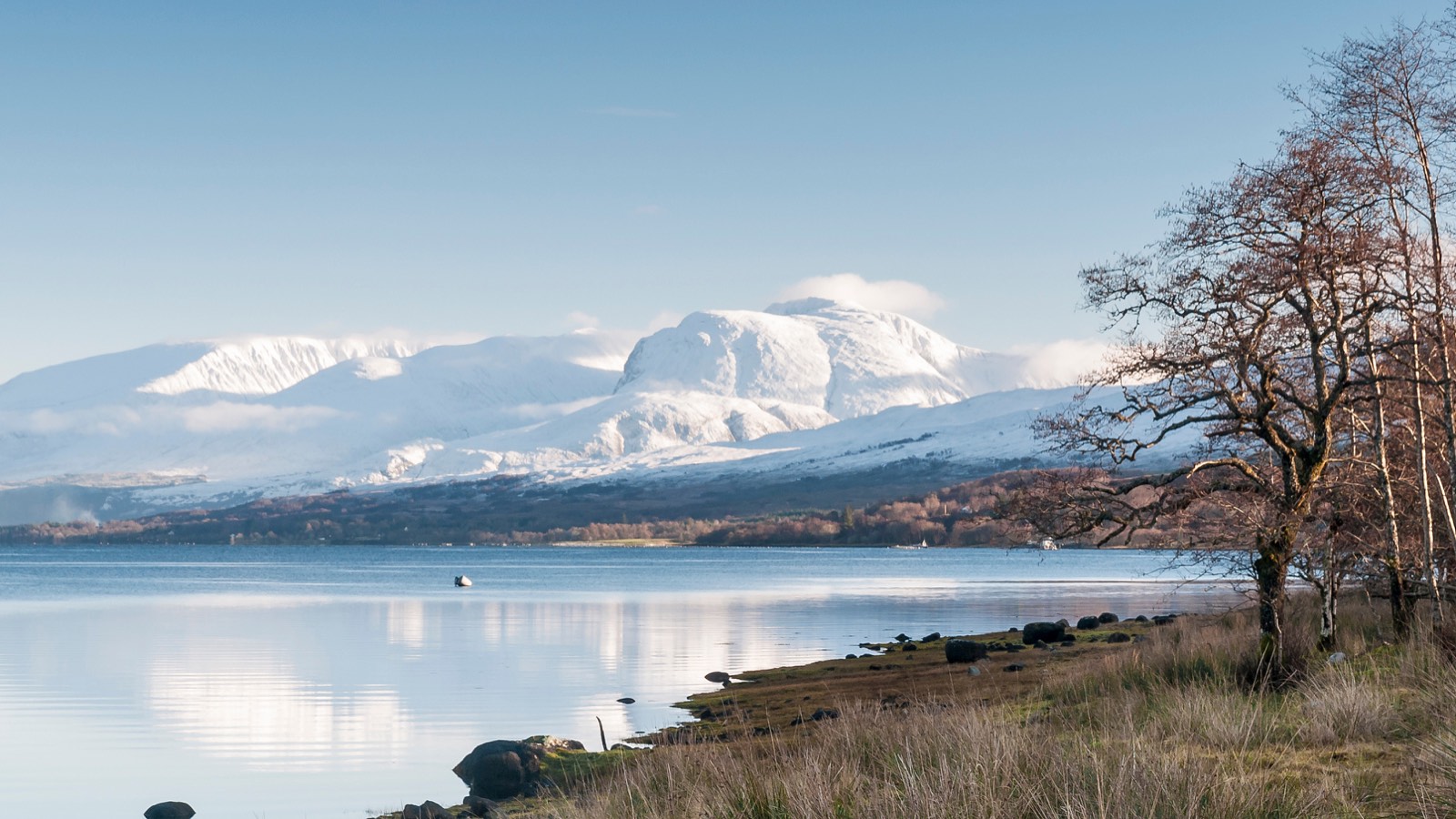 Snow-covered Ben Nevis beyond a calm loch, with bare trees along the shore.