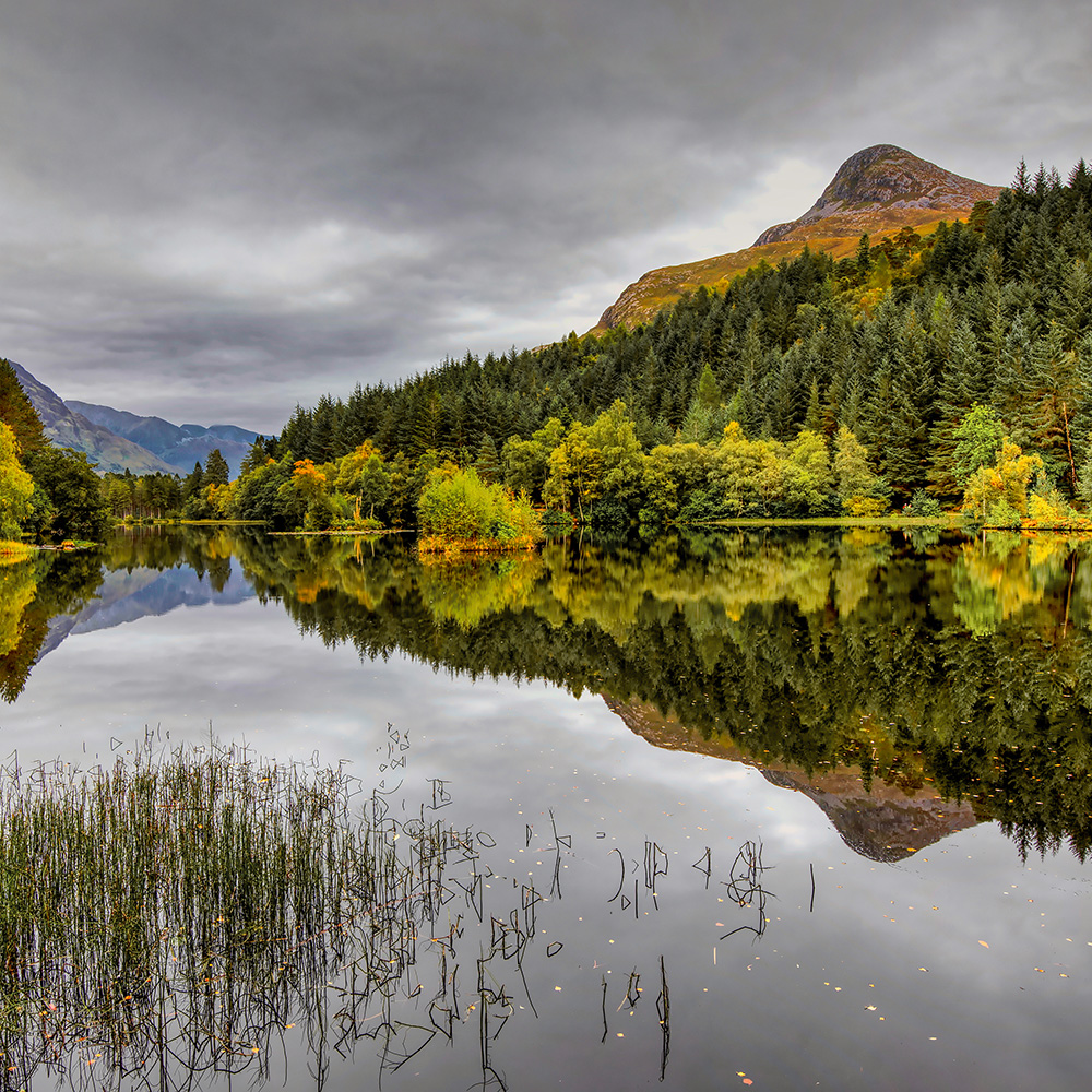 Golden woodland and a steep Highland hill reflected in still water in the Glencoe area